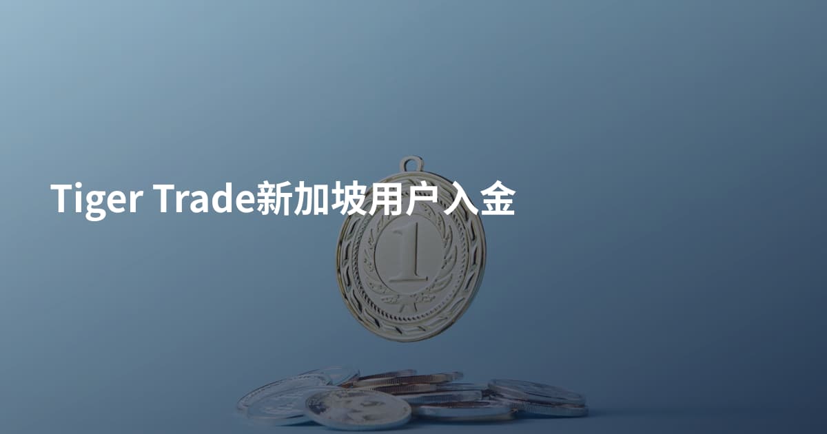 Tiger Trade新加坡用户入金