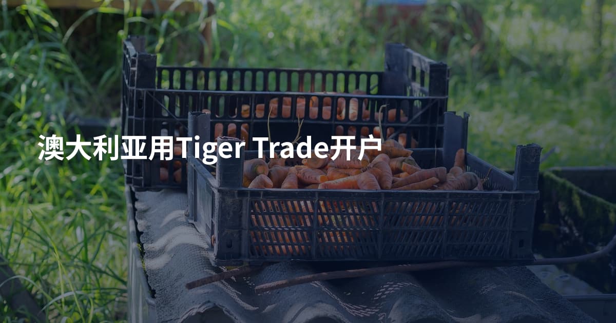 澳大利亚用Tiger Trade开户