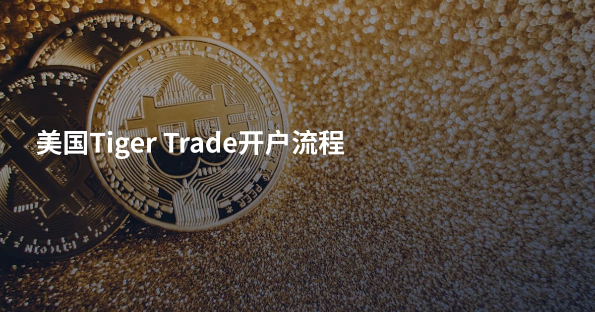 美国Tiger Trade开户流程