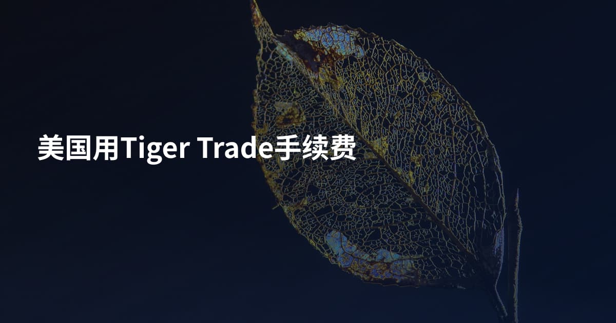 美国用Tiger Trade手续费