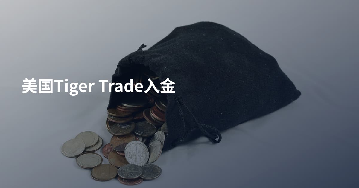 美国Tiger Trade入金