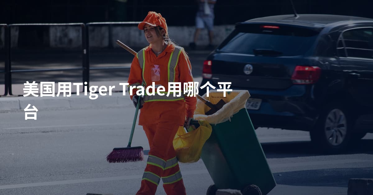 美国用Tiger Trade用哪个平台
