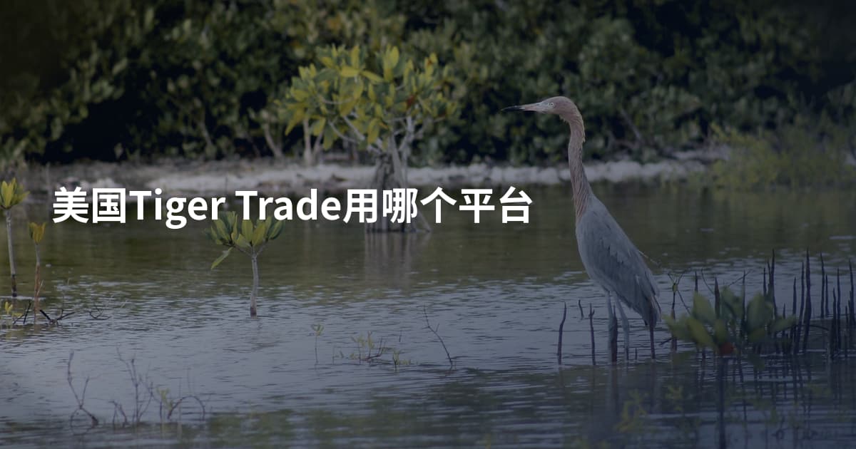 美国Tiger Trade用哪个平台
