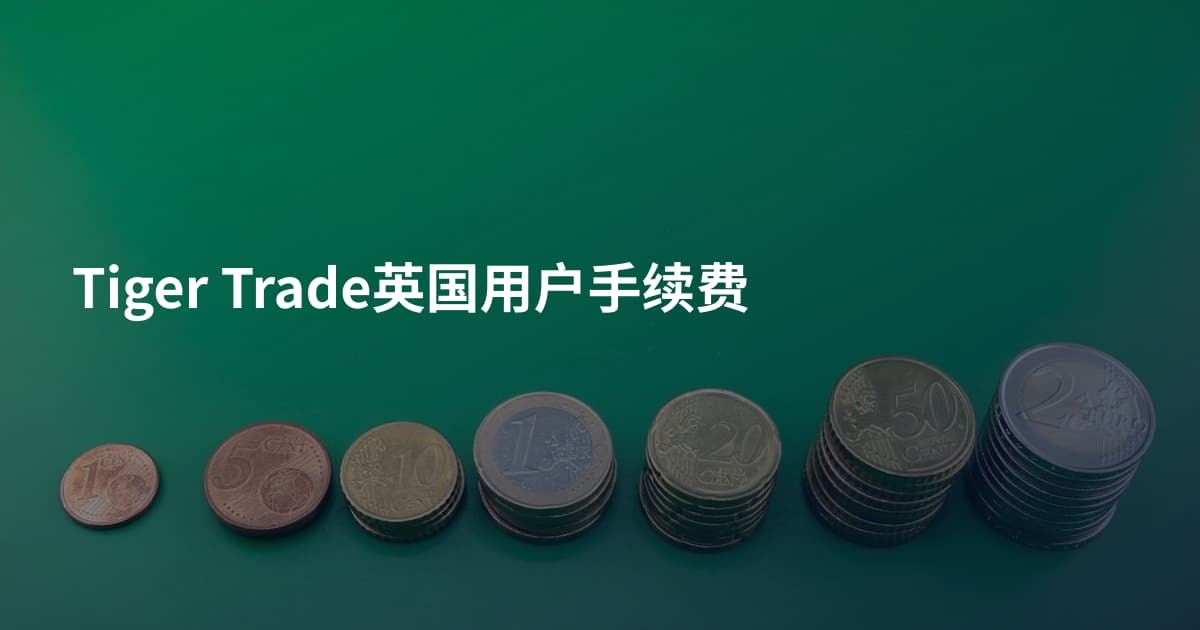 Tiger Trade英国用户手续费