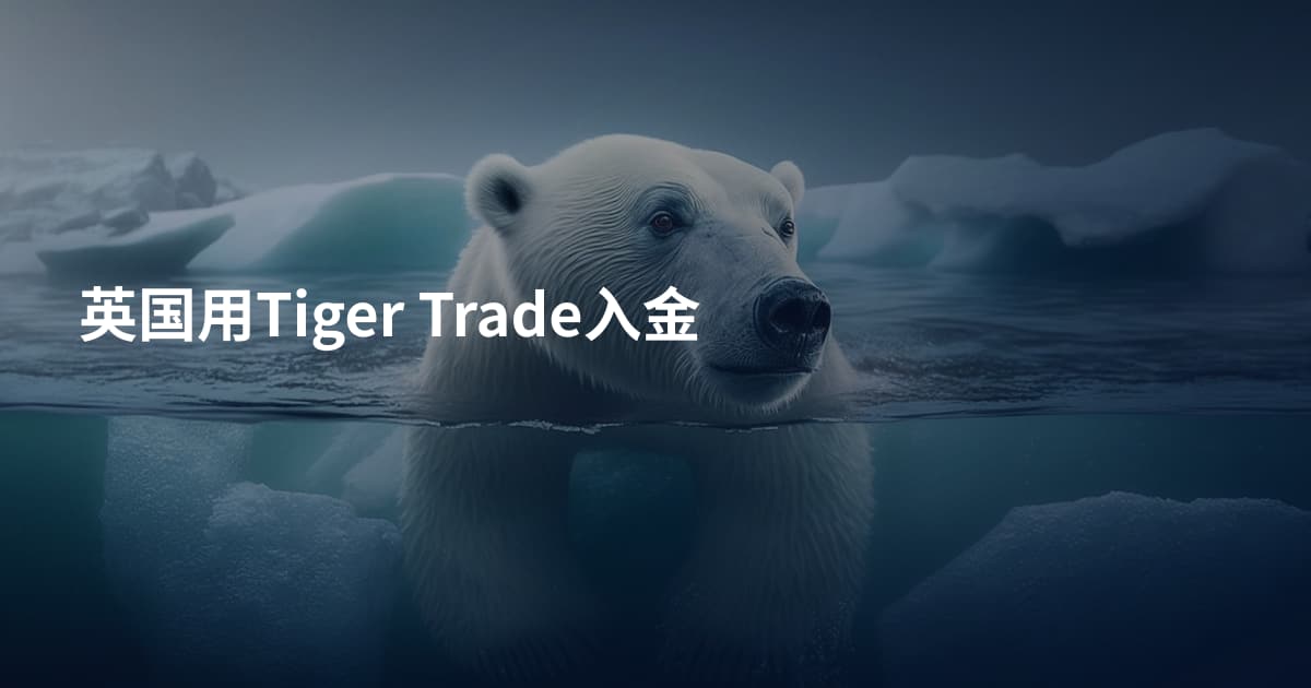 英国用Tiger Trade入金