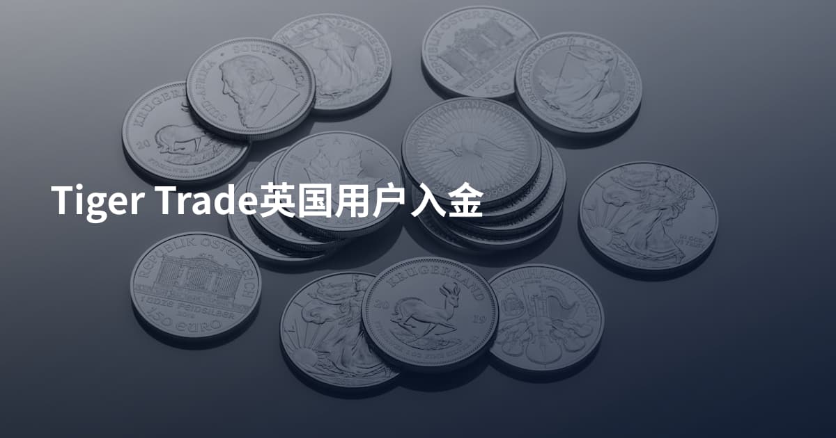 Tiger Trade英国用户入金