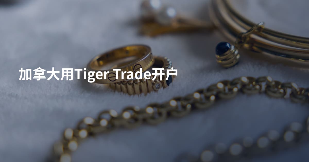 加拿大用Tiger Trade开户