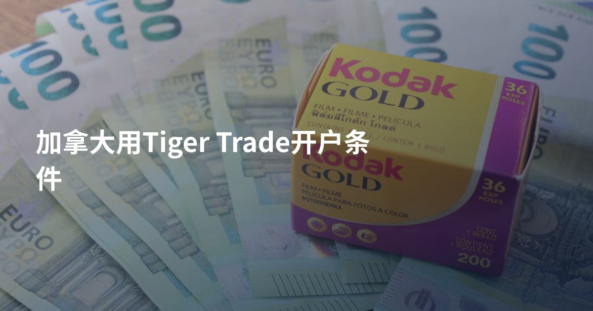 加拿大用Tiger Trade开户条件