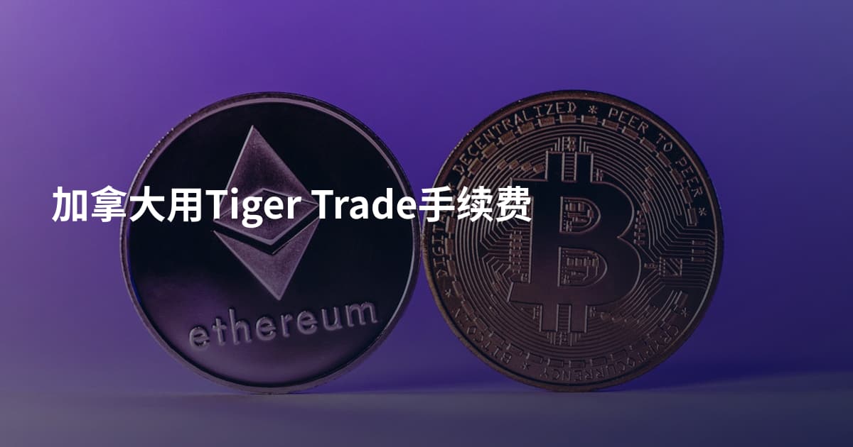 加拿大用Tiger Trade手续费