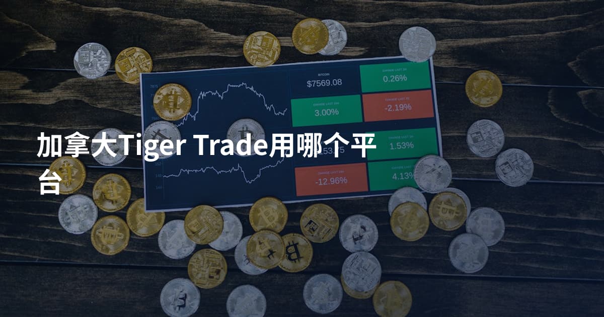 加拿大Tiger Trade用哪个平台