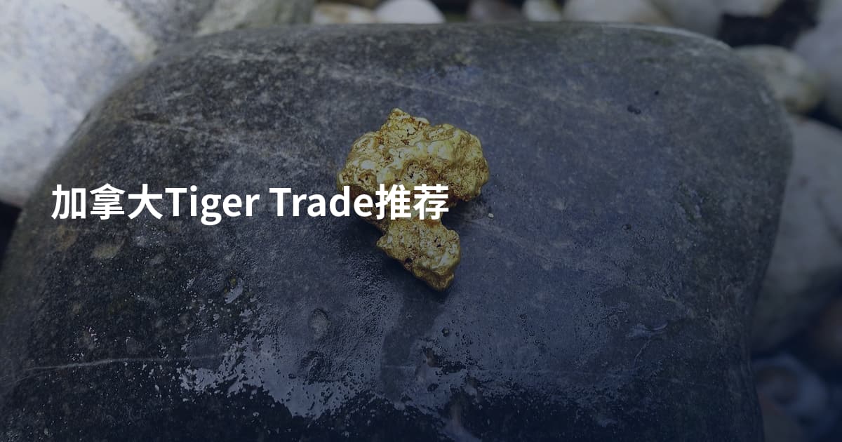 加拿大Tiger Trade推荐