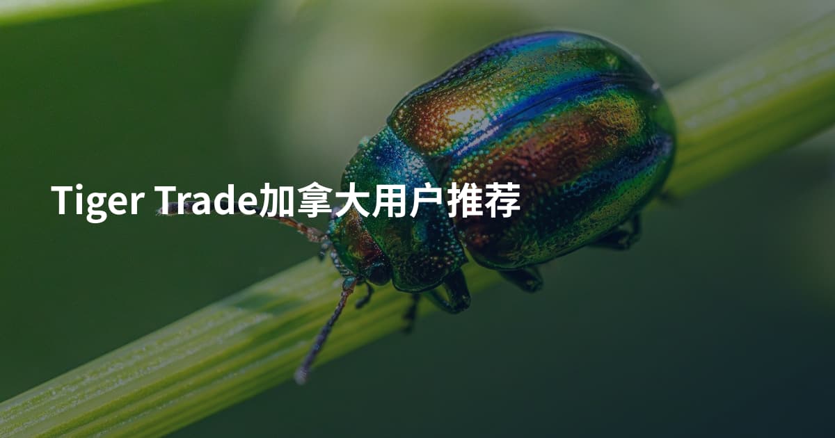 Tiger Trade加拿大用户推荐