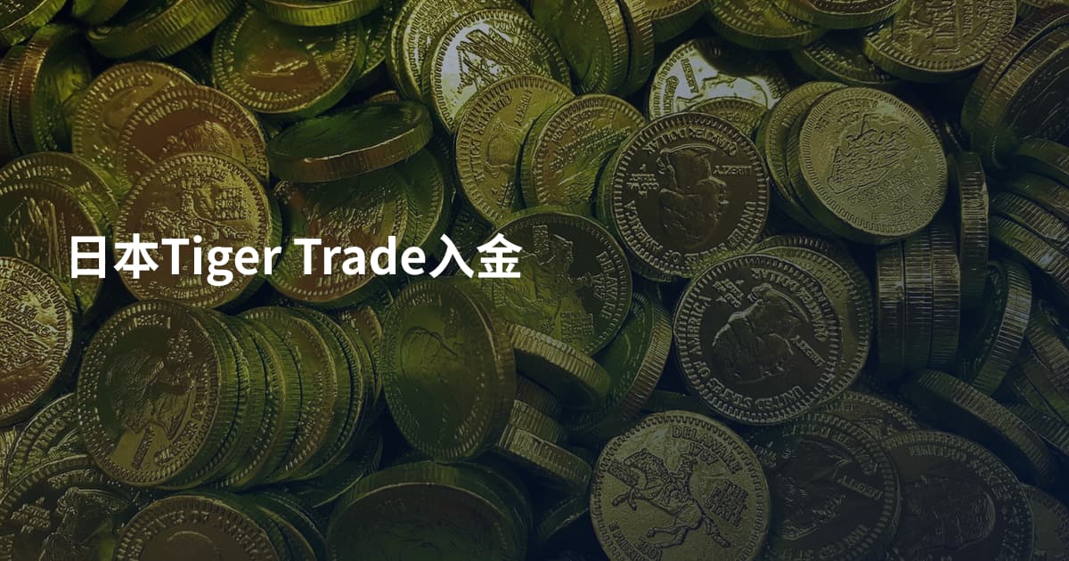 日本Tiger Trade入金