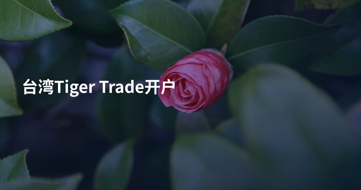 台湾Tiger Trade开户