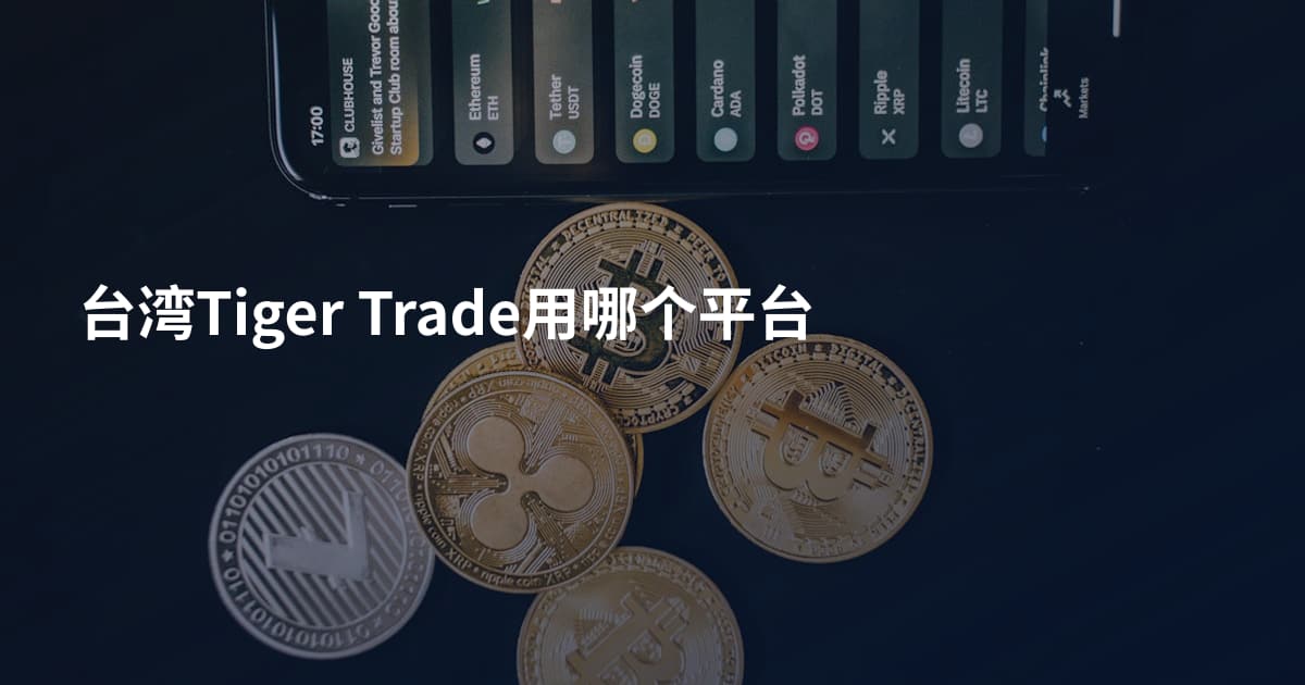 台湾Tiger Trade用哪个平台