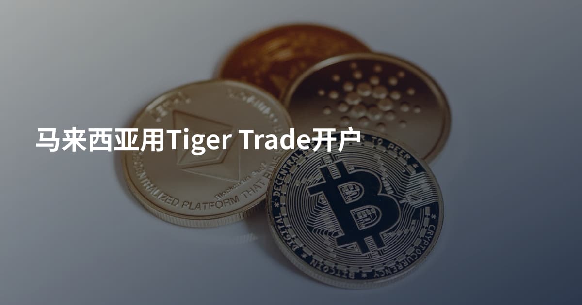 马来西亚用Tiger Trade开户