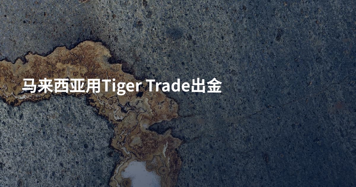 马来西亚用Tiger Trade出金