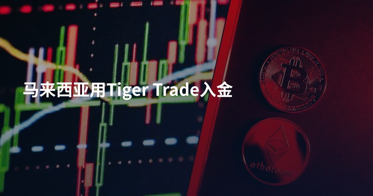 马来西亚用Tiger Trade入金