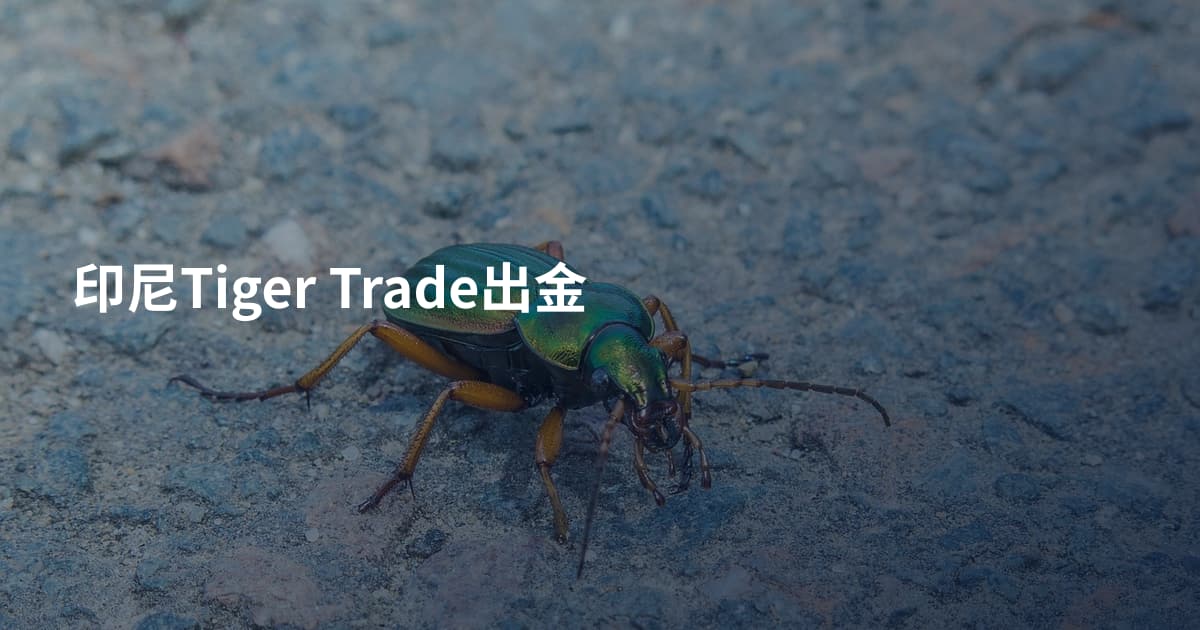 印尼Tiger Trade出金