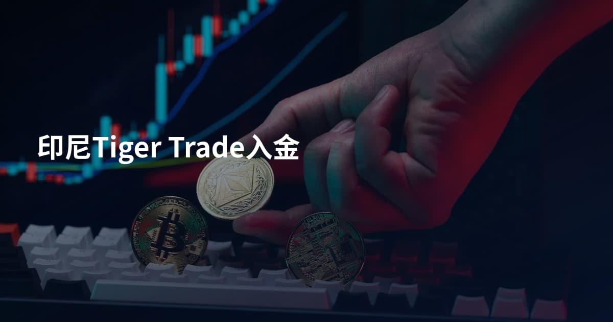 印尼Tiger Trade入金