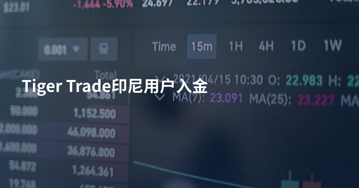 Tiger Trade印尼用户入金