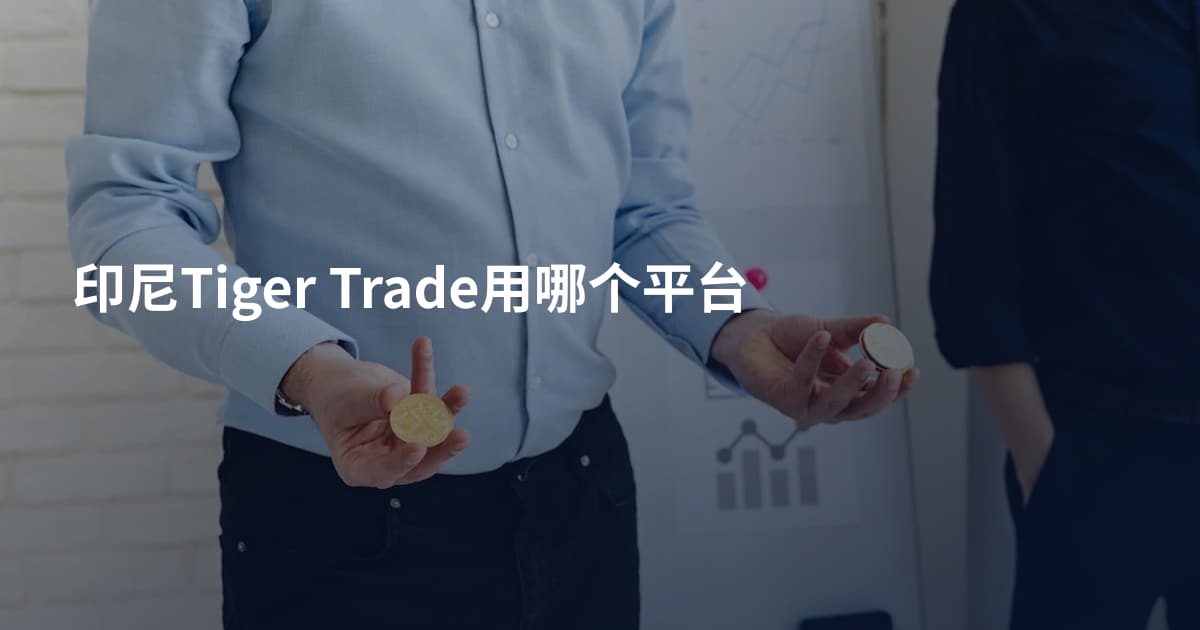 印尼Tiger Trade用哪个平台