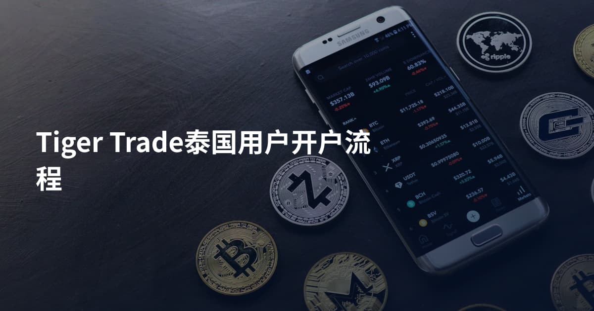 Tiger Trade泰国用户开户流程