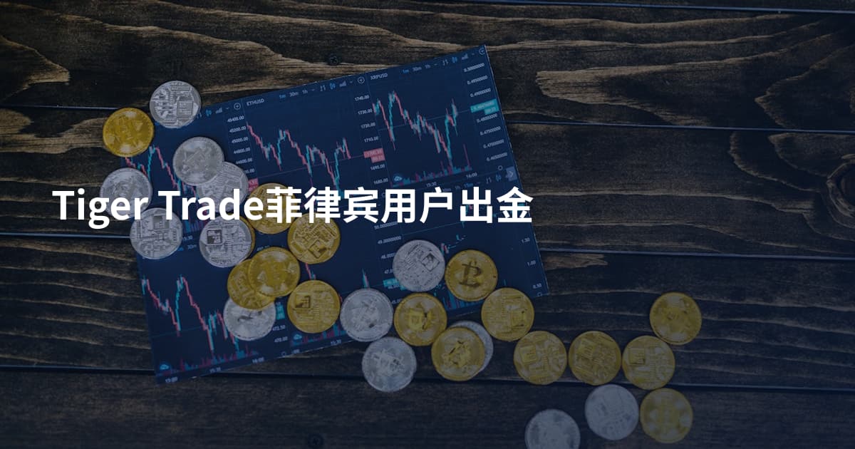 Tiger Trade菲律宾用户出金