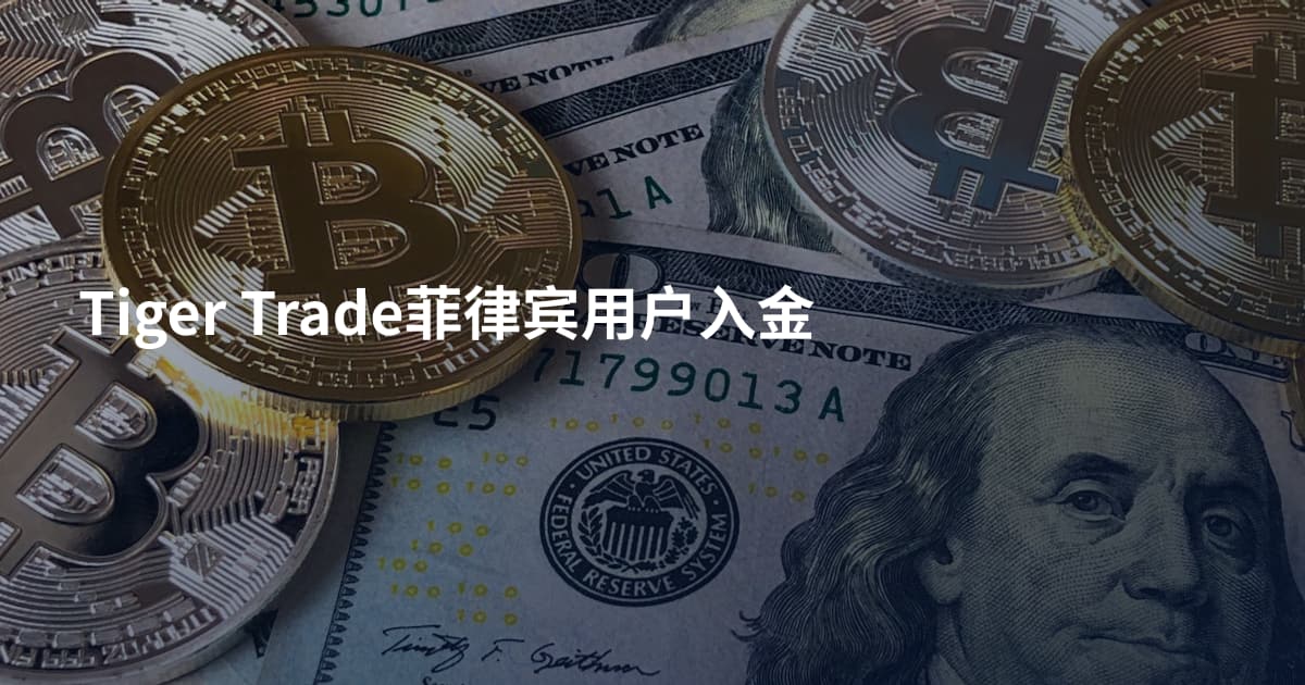Tiger Trade菲律宾用户入金