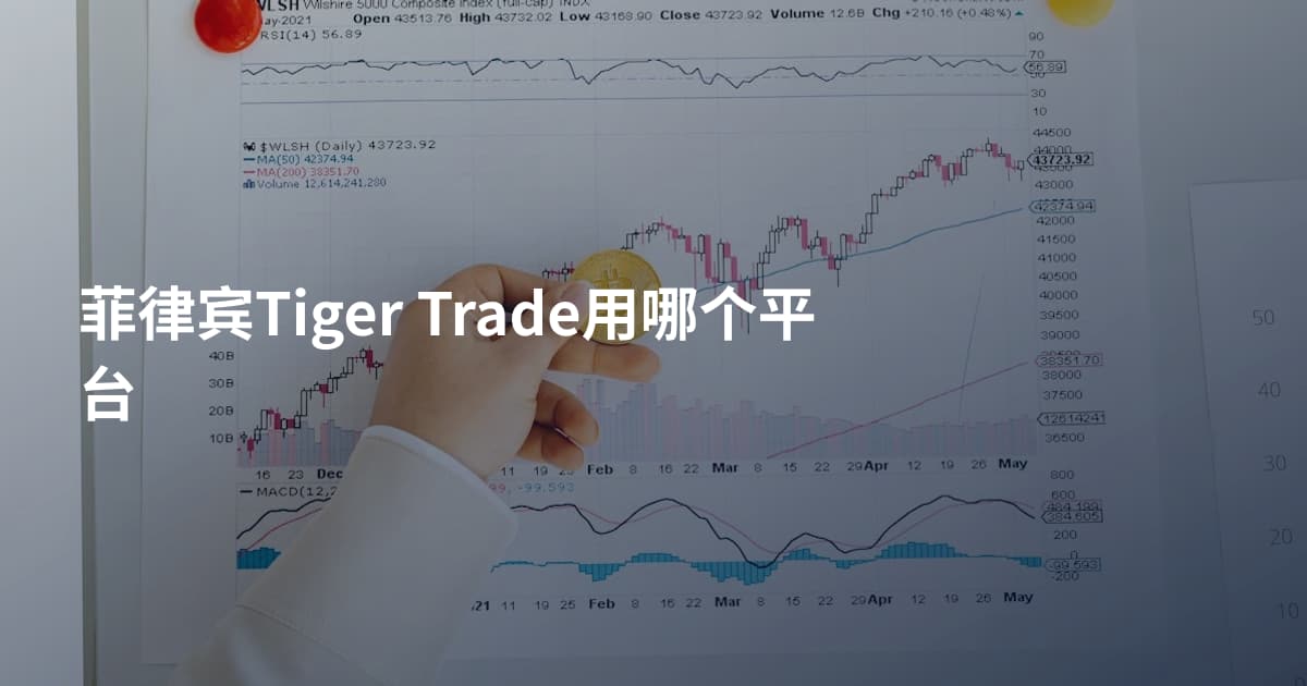 菲律宾Tiger Trade用哪个平台