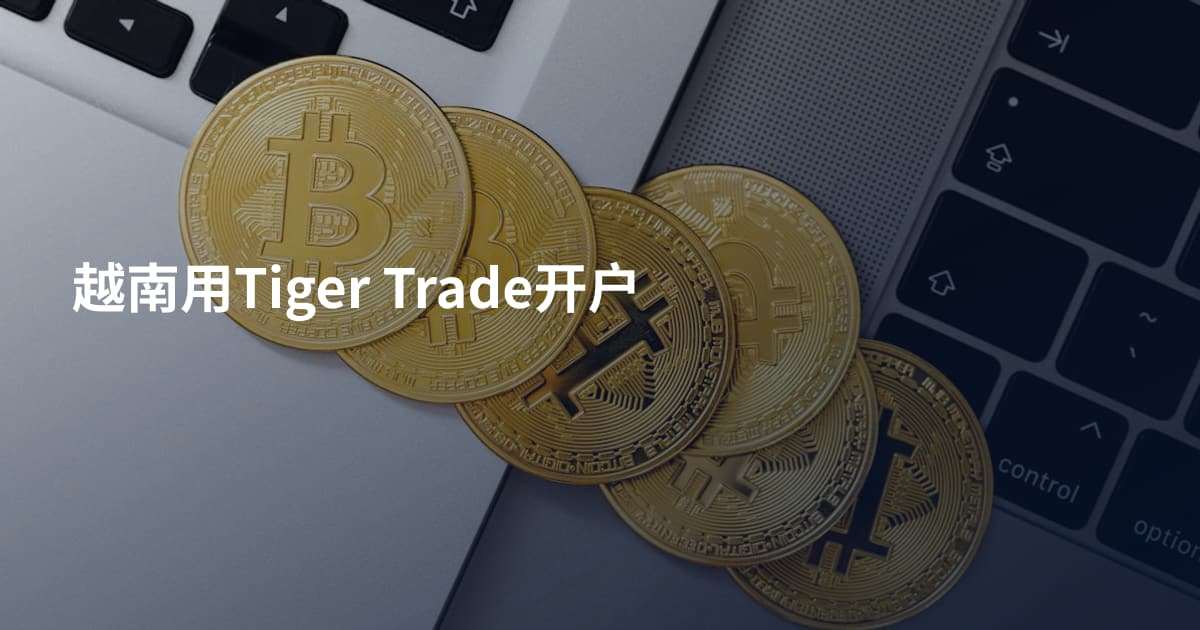越南用Tiger Trade开户