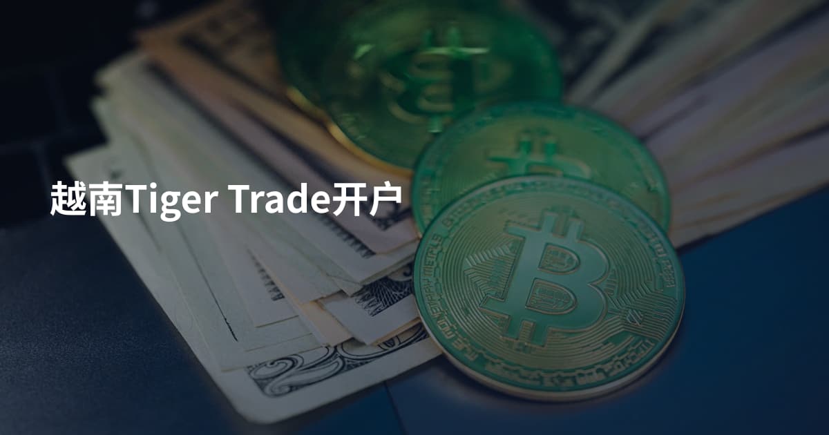 越南Tiger Trade开户