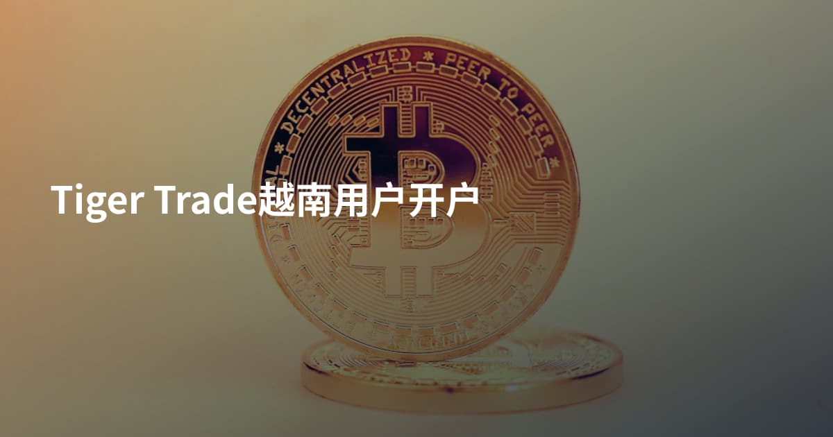 Tiger Trade越南用户开户