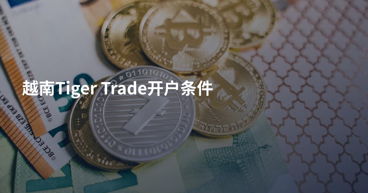 越南Tiger Trade开户条件