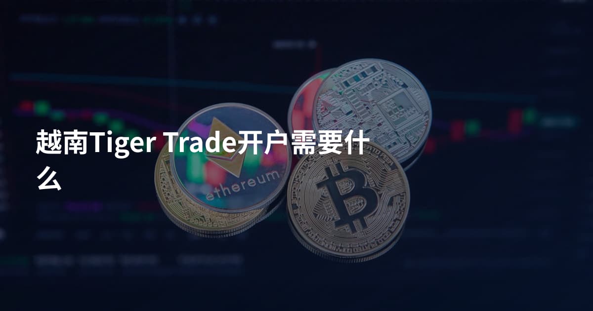 越南Tiger Trade开户需要什么