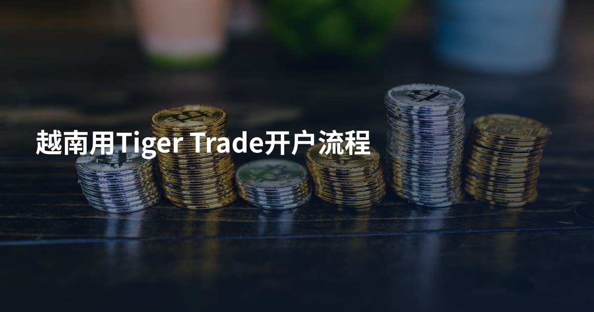 越南用Tiger Trade开户流程