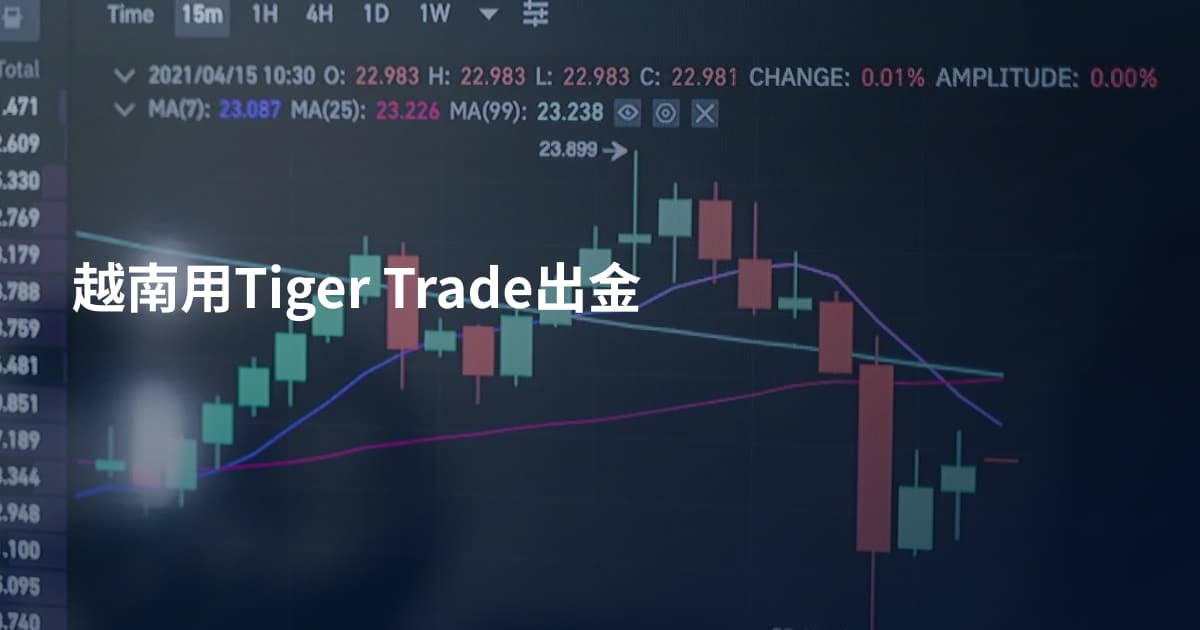 越南用Tiger Trade出金