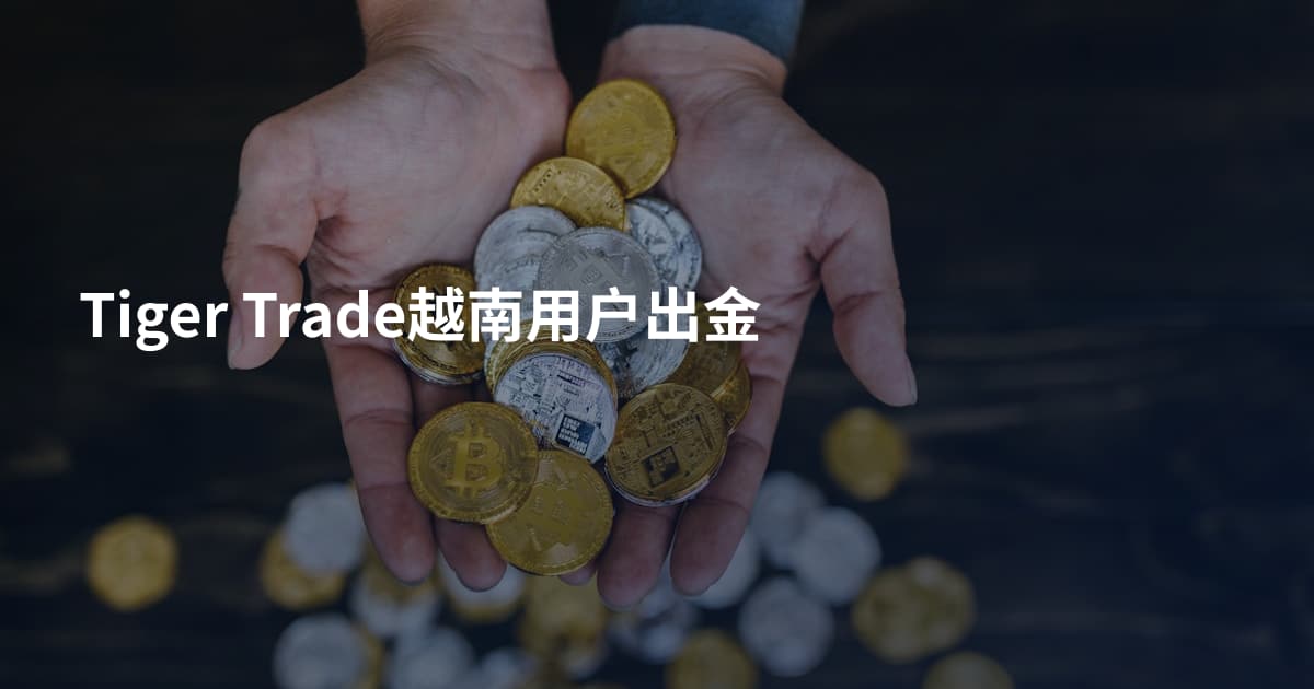 Tiger Trade越南用户出金