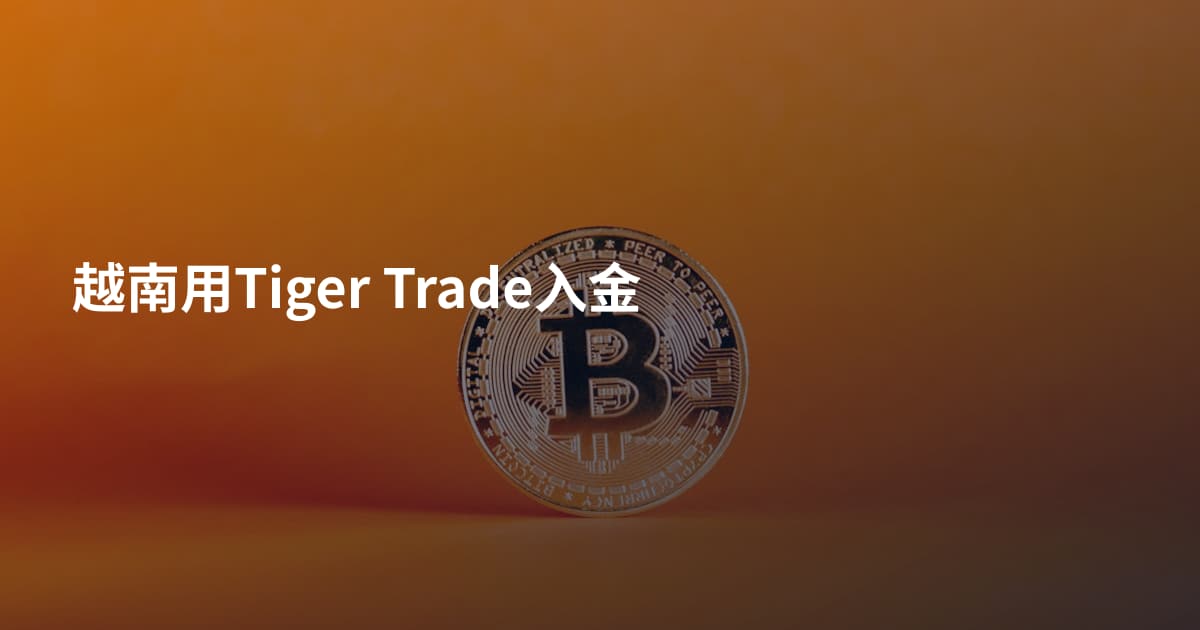 越南用Tiger Trade入金