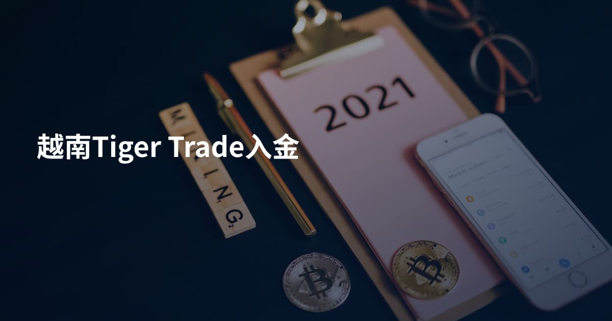 越南Tiger Trade入金