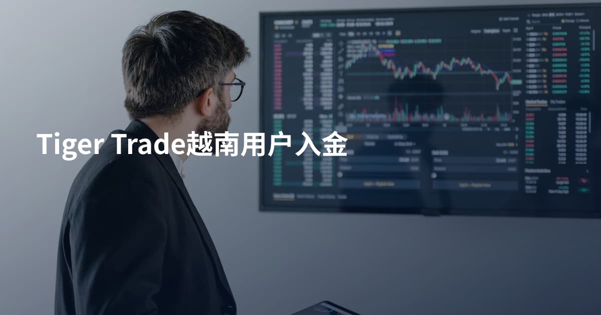 Tiger Trade越南用户入金