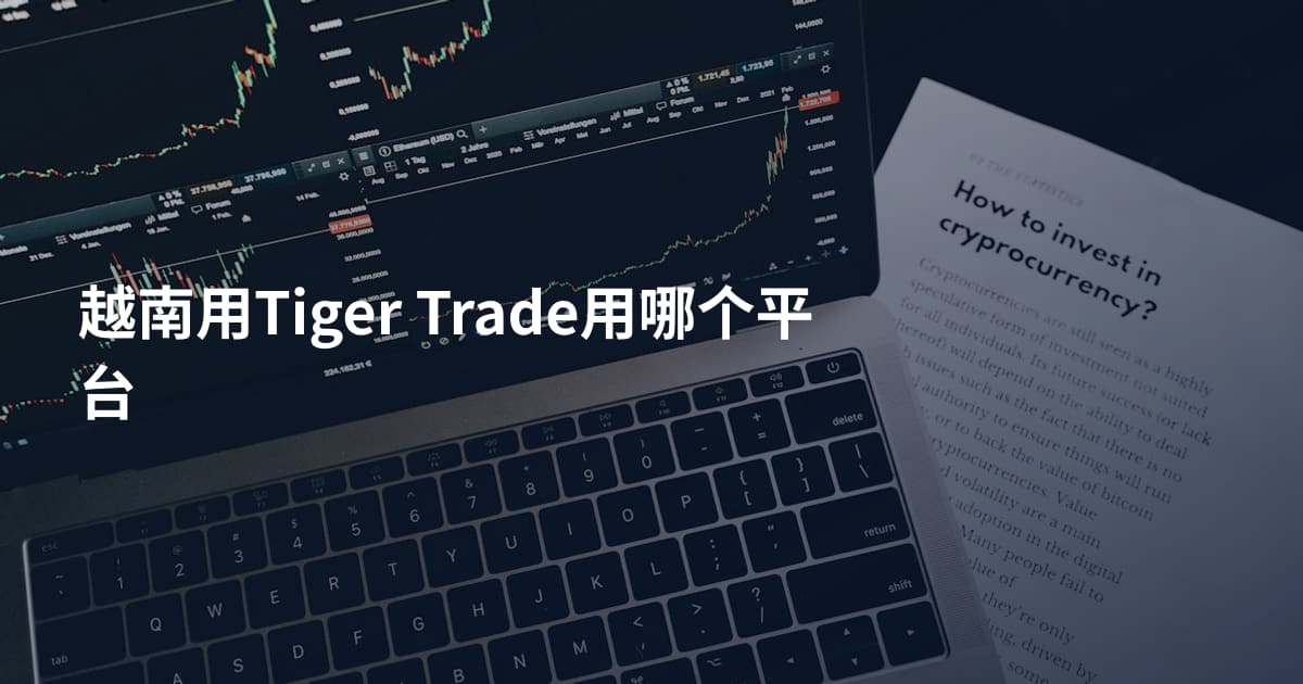 越南用Tiger Trade用哪个平台