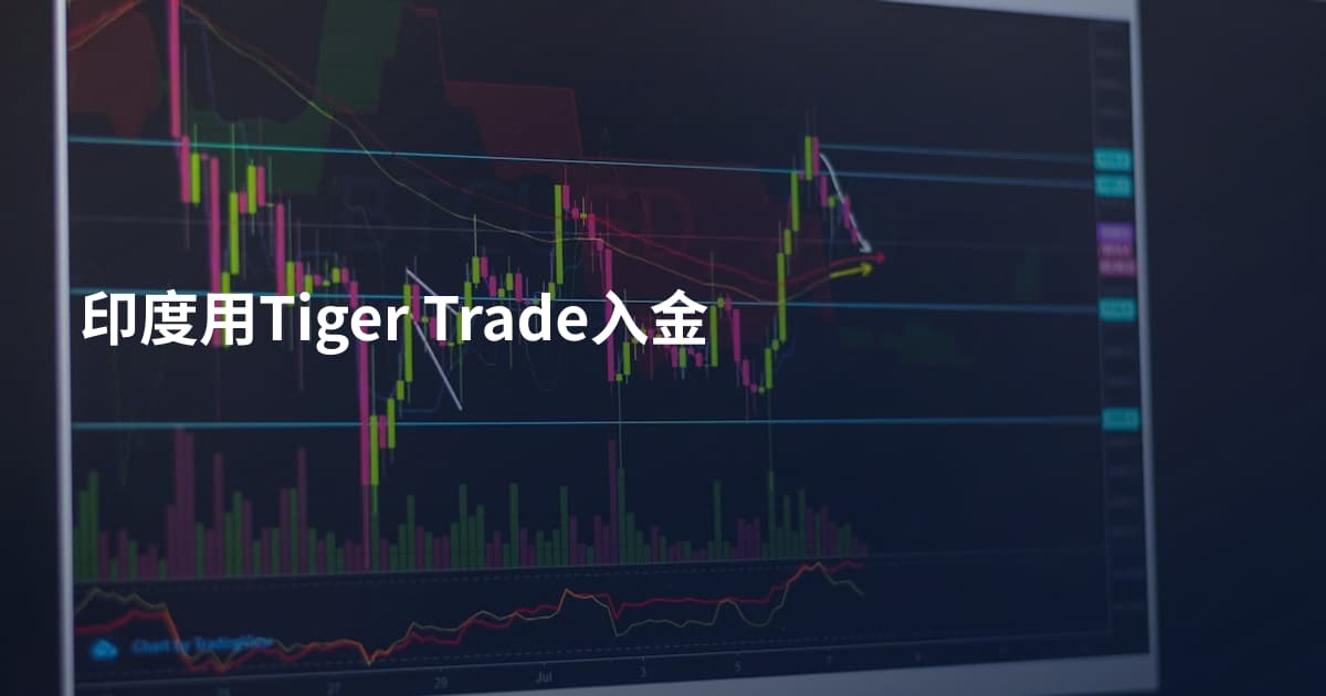 印度用Tiger Trade入金