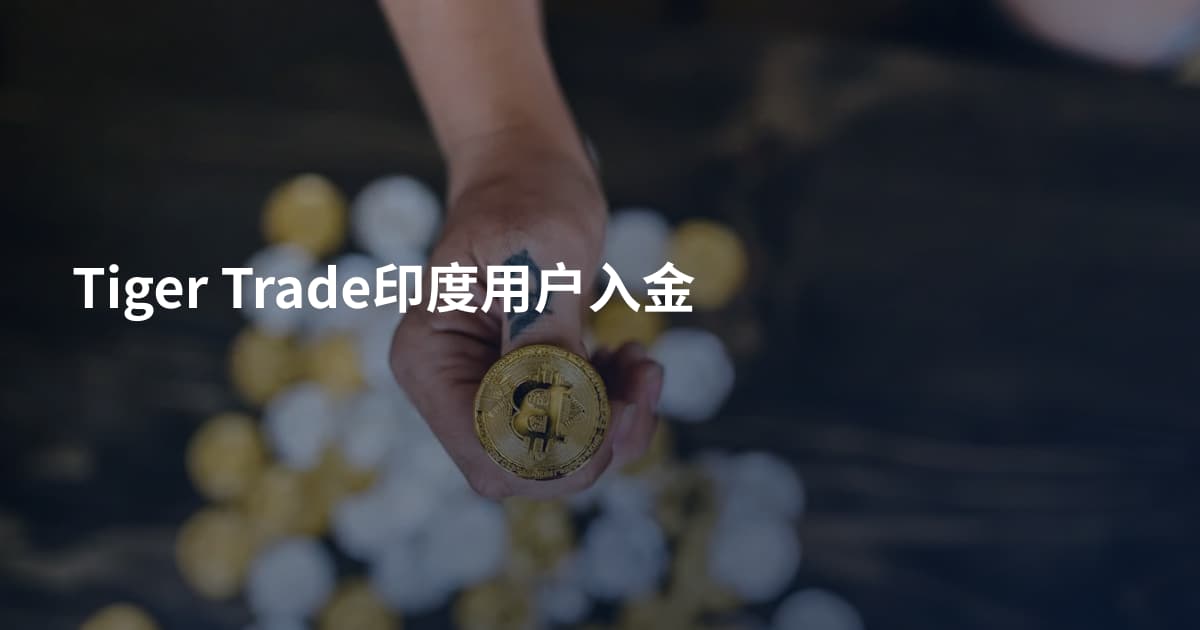 Tiger Trade印度用户入金