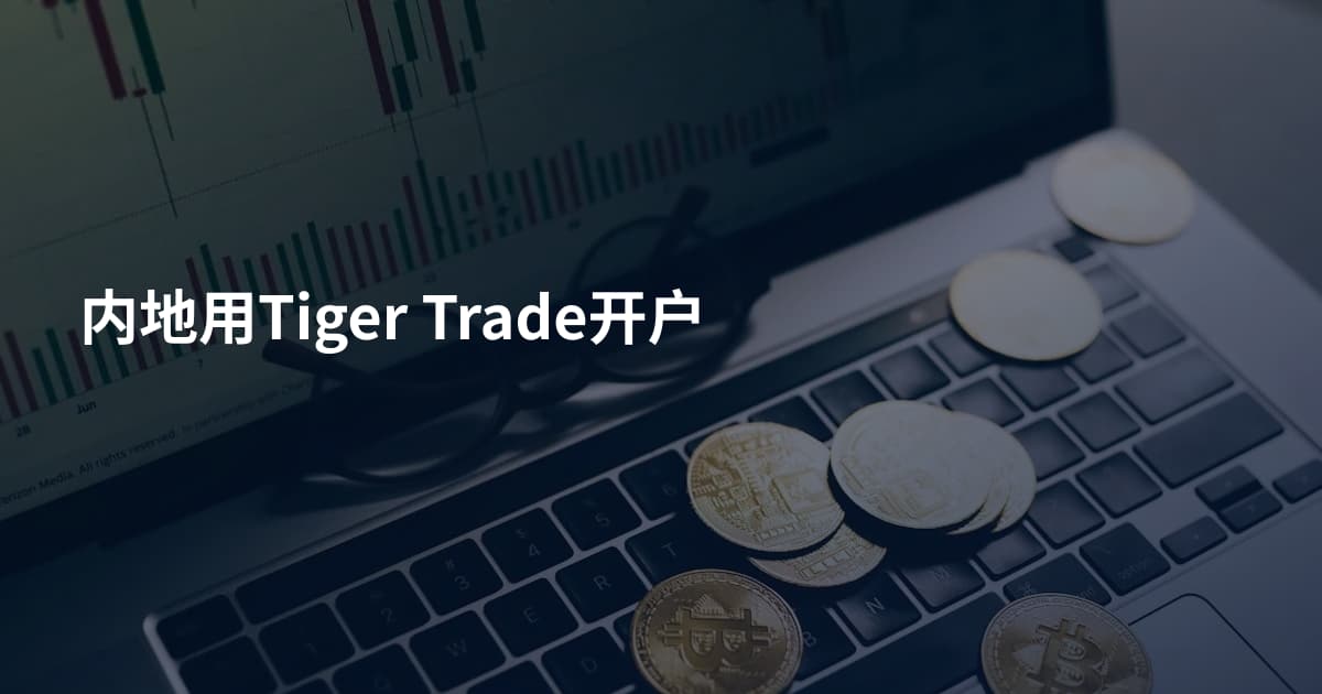 内地用Tiger Trade开户