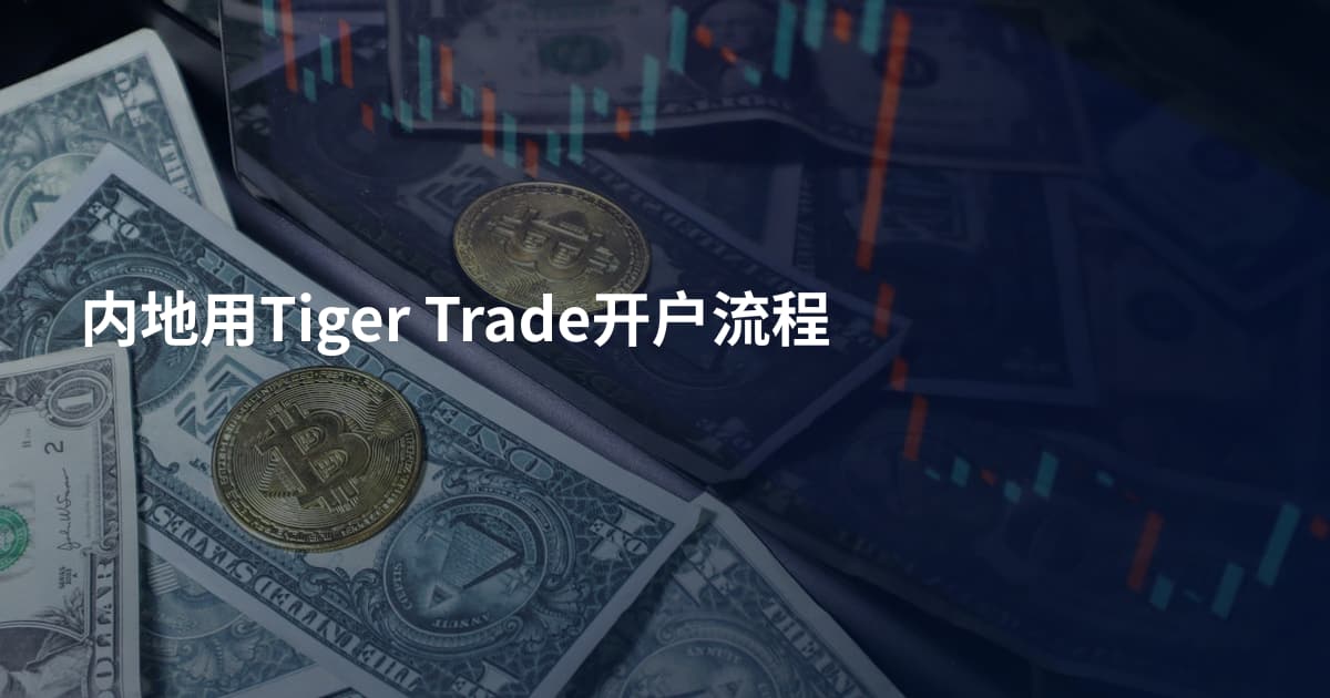 内地用Tiger Trade开户流程