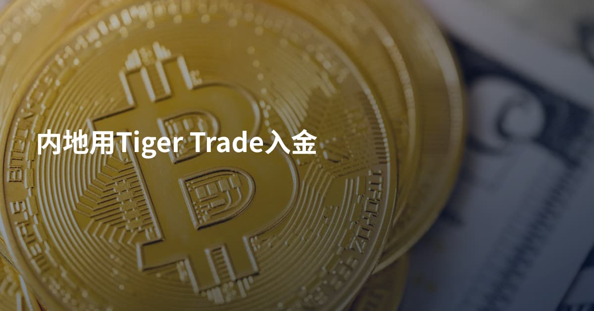内地用Tiger Trade入金