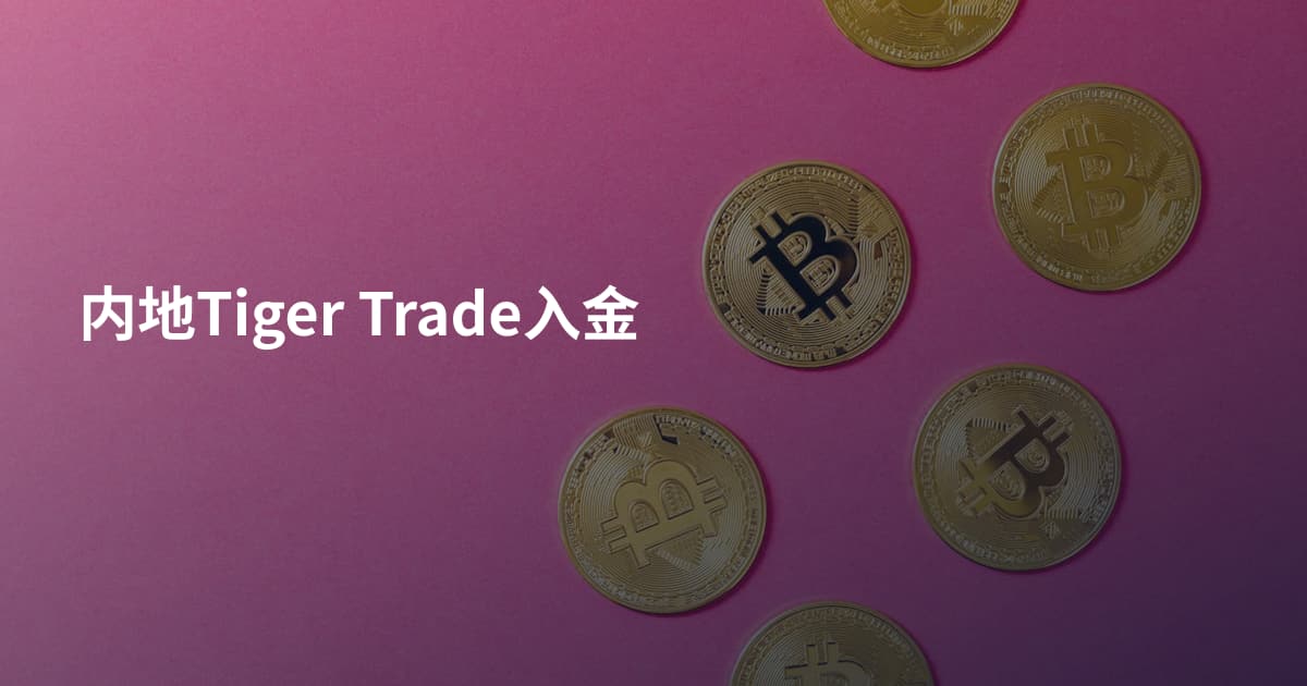 内地Tiger Trade入金