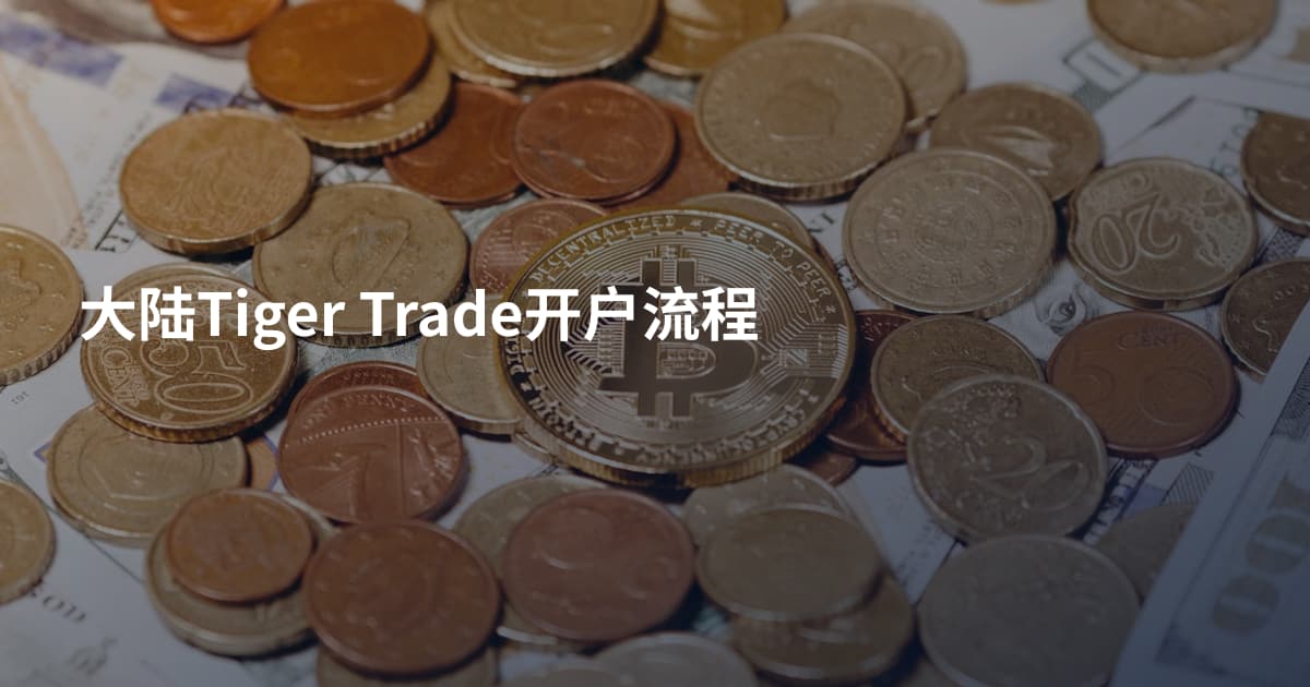 大陆Tiger Trade开户流程
