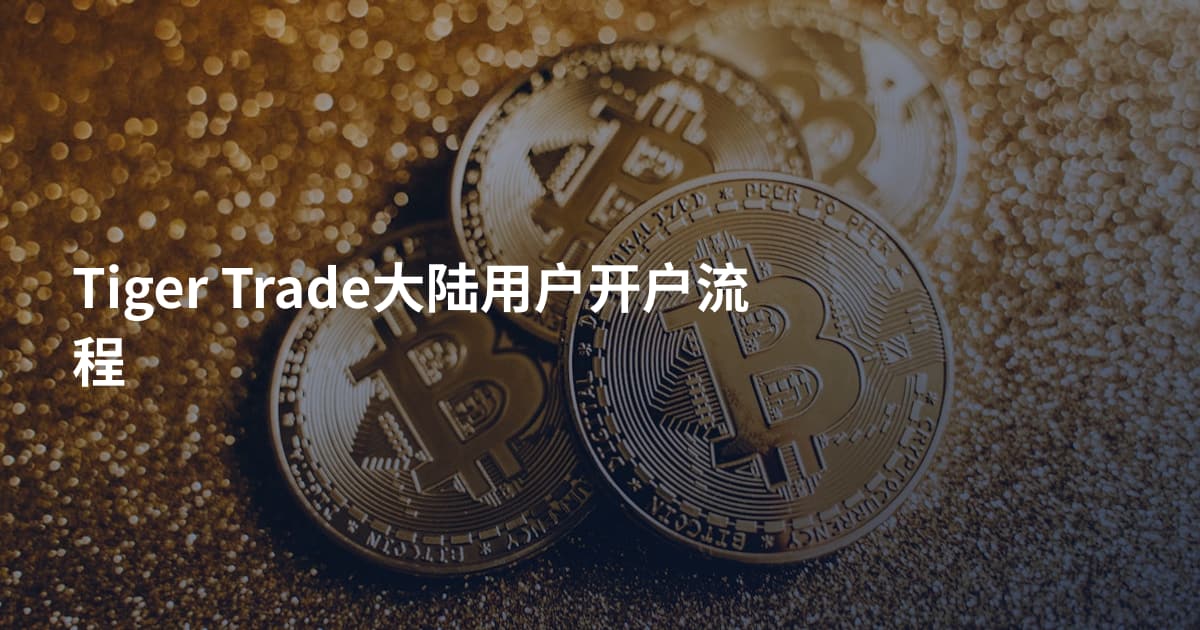 Tiger Trade大陆用户开户流程